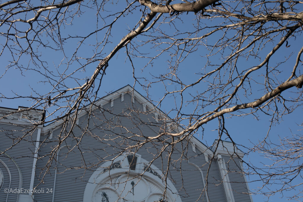 Branches with the front of a church behind them