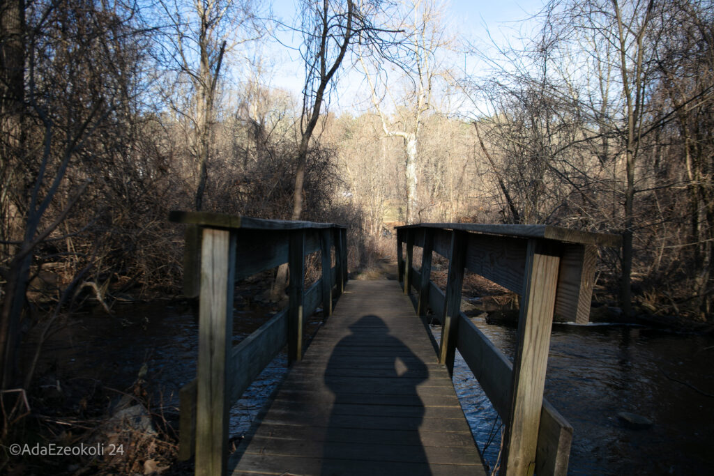 A woman's shadow framed by a bridge