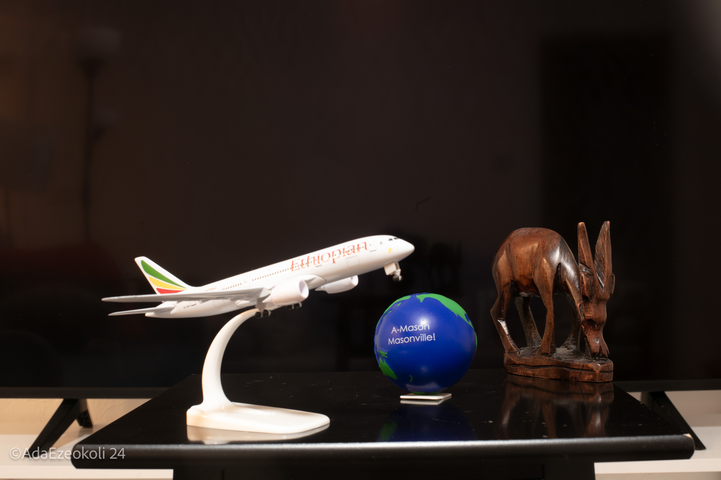 Plane model with globe and carved animal models behind.