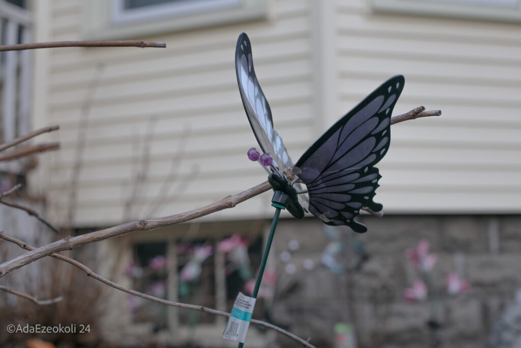 A yard plastic butterfly