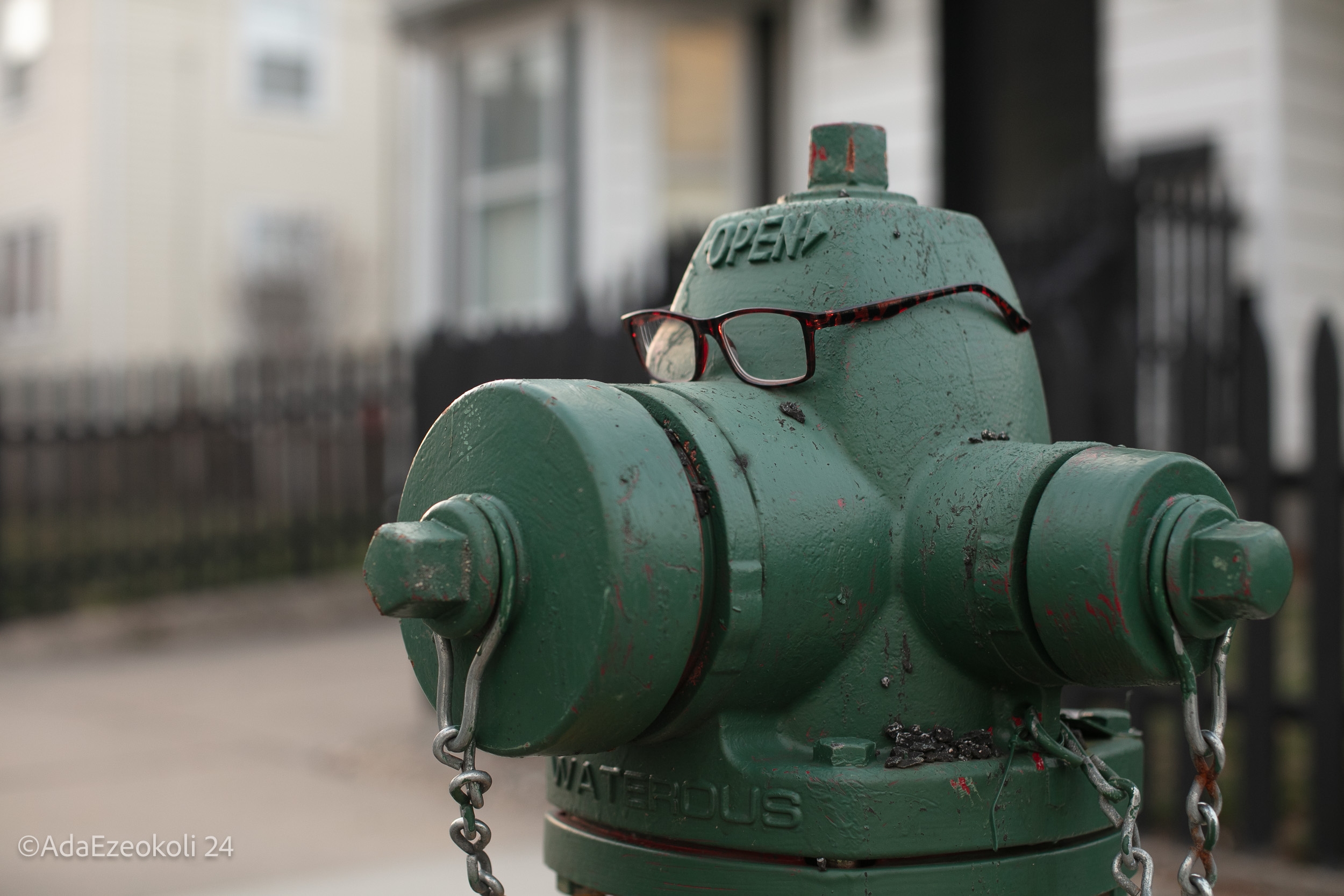 A green fire hydrant with glasses on