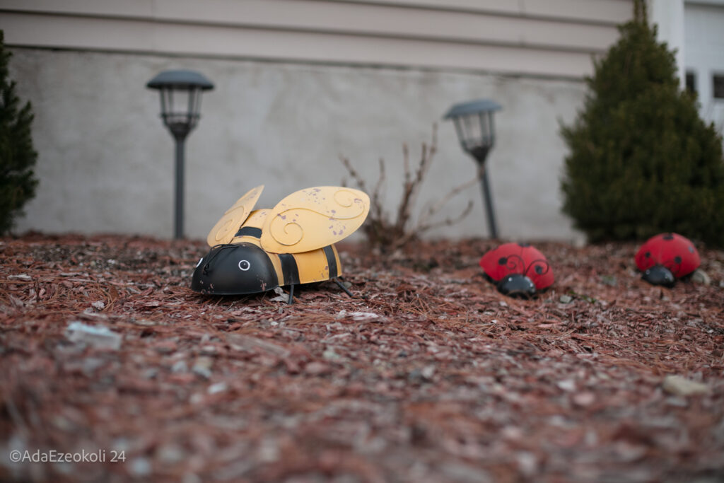 A yellow bee with two red beetles