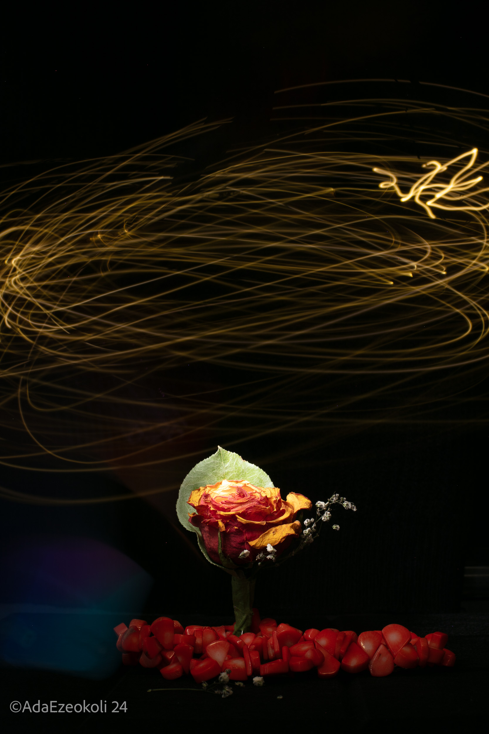 A rose with coral beads and trails of light