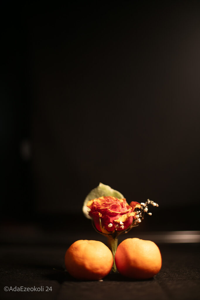 A rose and two mandarin oranges