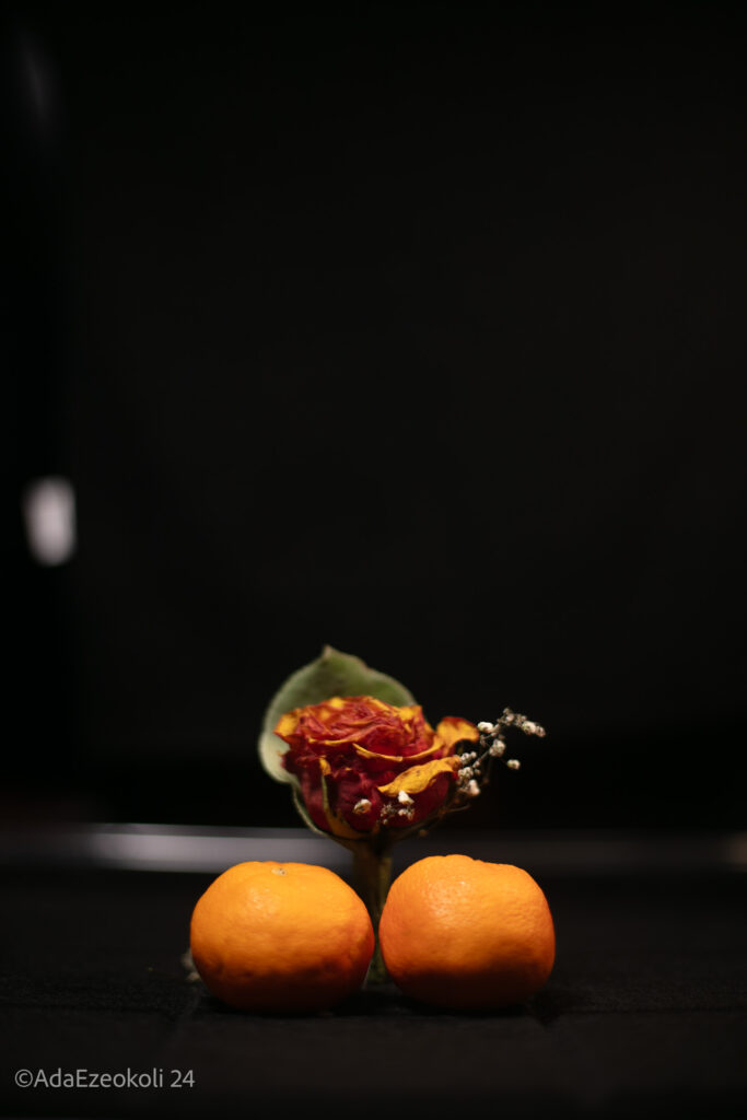 A rose and two mandarin oranges